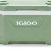 Camping And Hiking * | Igloo Ecocool Cooler 52 Qts. Sage Green